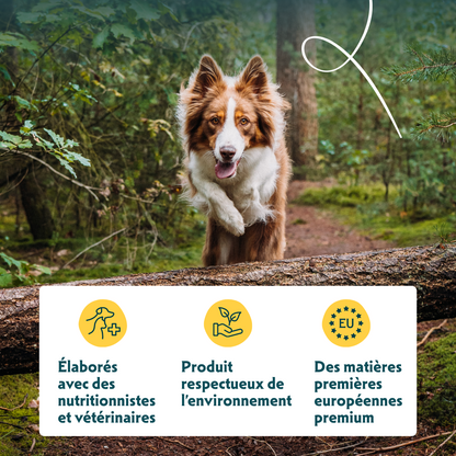 Yarrah bouchées bio - pâtée chien