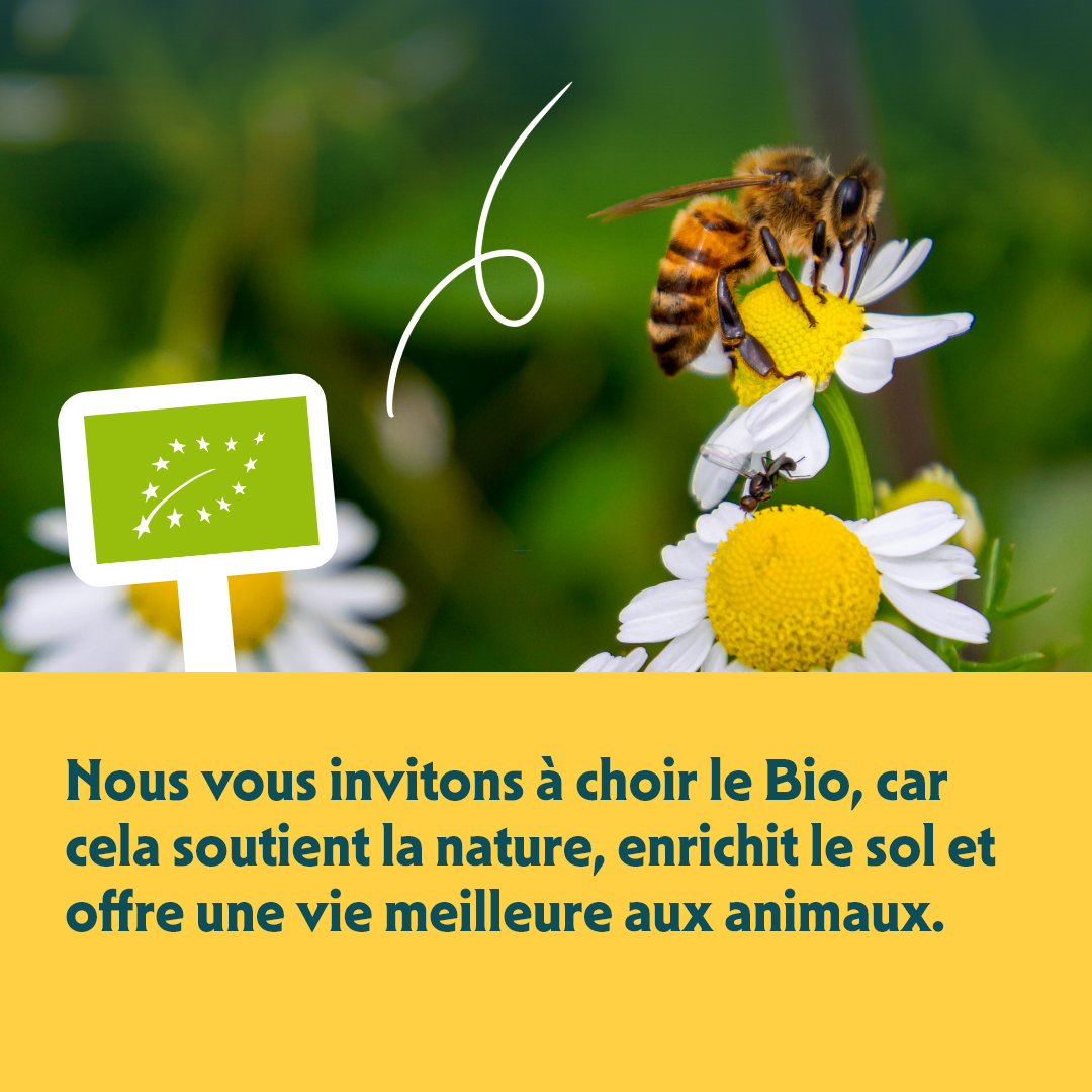 Yarrah bouchées bio - pâtée chien