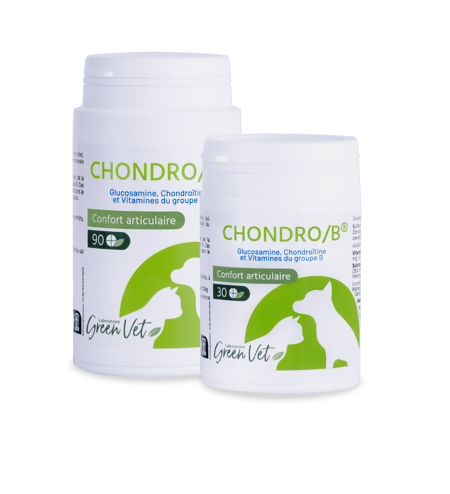 Chondro B Chat &amp; Chien