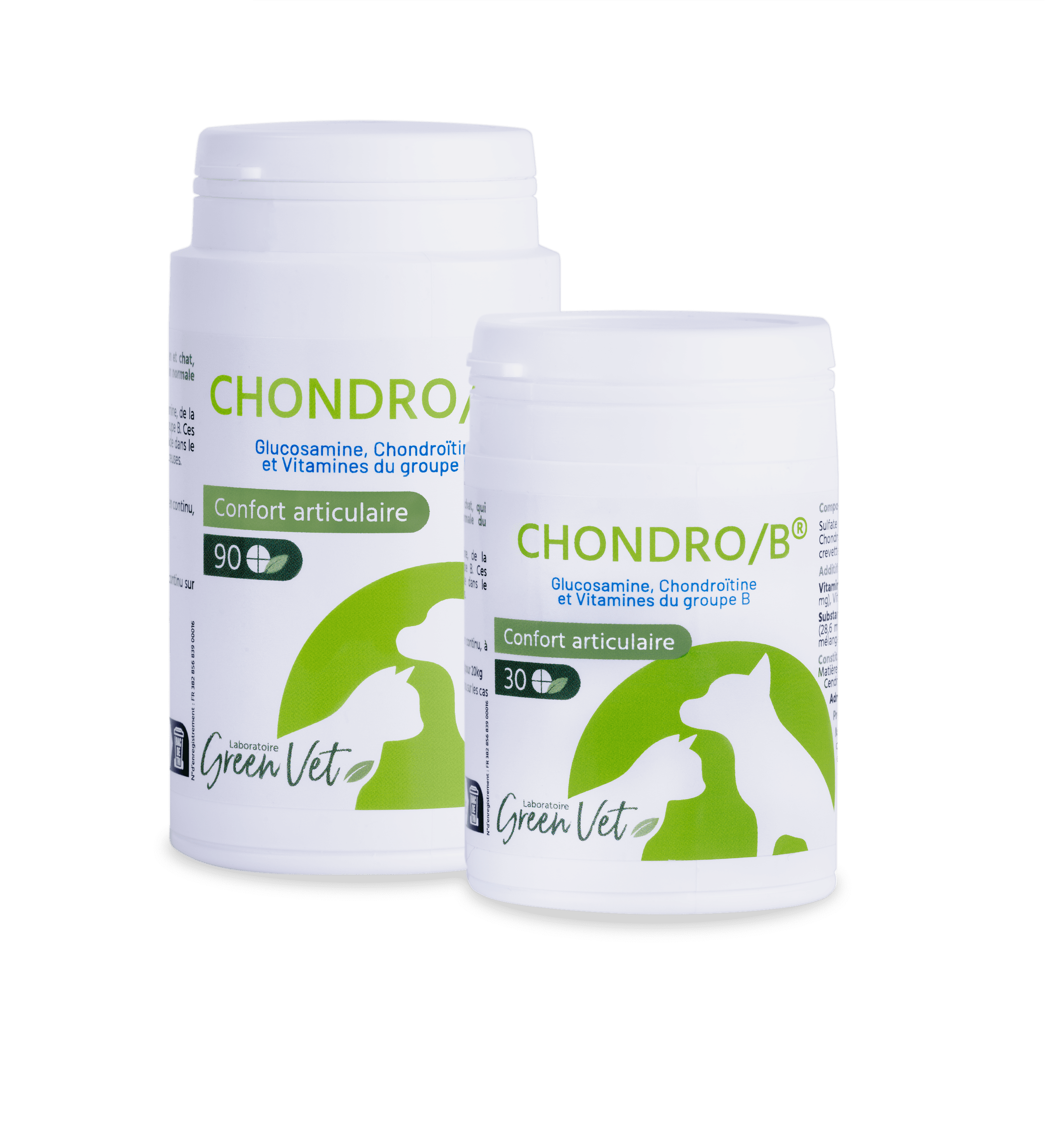 Chondro B Chat &amp; Chien