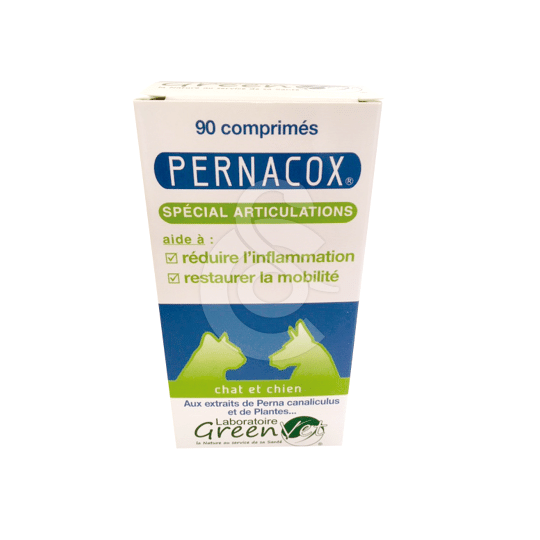 Pernacox chat, chien