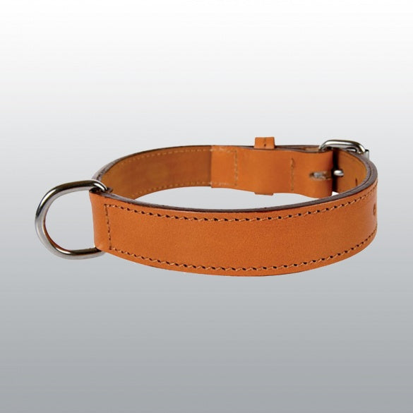 Collier en cuir double chien
