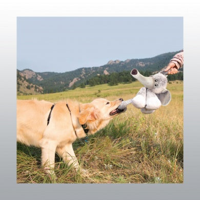 Jouet Kong Stretchezz Legz Eléphant chien