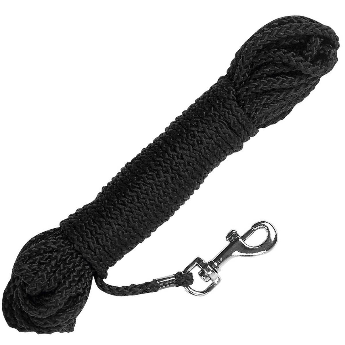 Laisse de travail chien