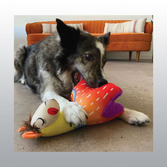 Jouet Ballistic Lama de Kong chien