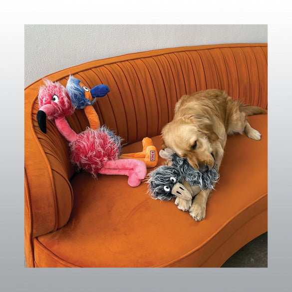 Jouet Kong Comfort Jumbo Bird chien