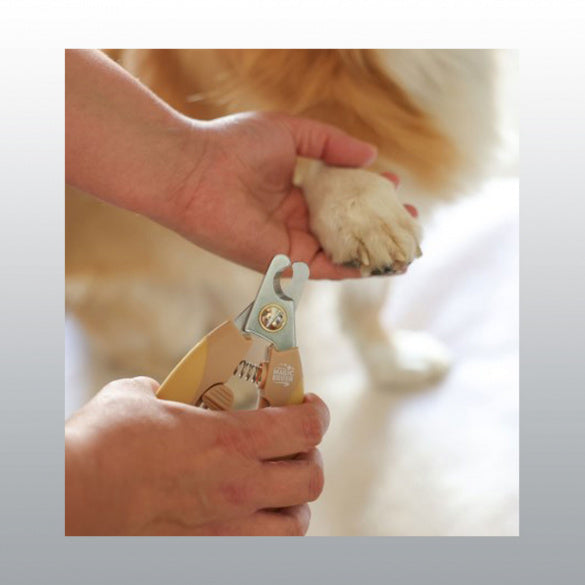 Coupe griffes Magic Brush chien