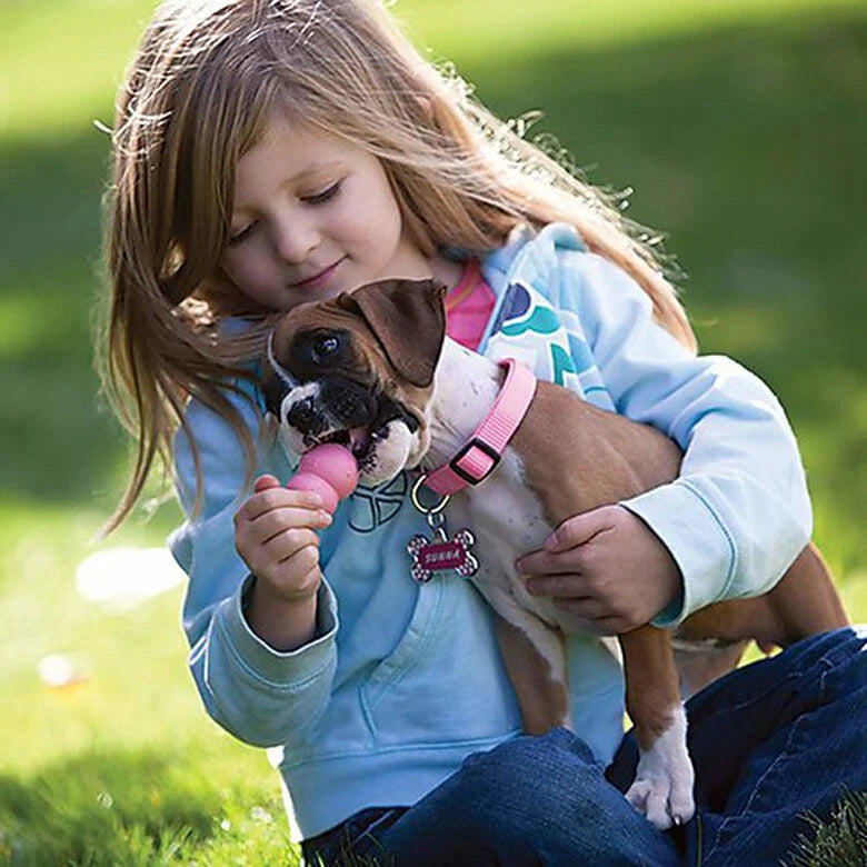 Jouet Kong Puppy chiot
