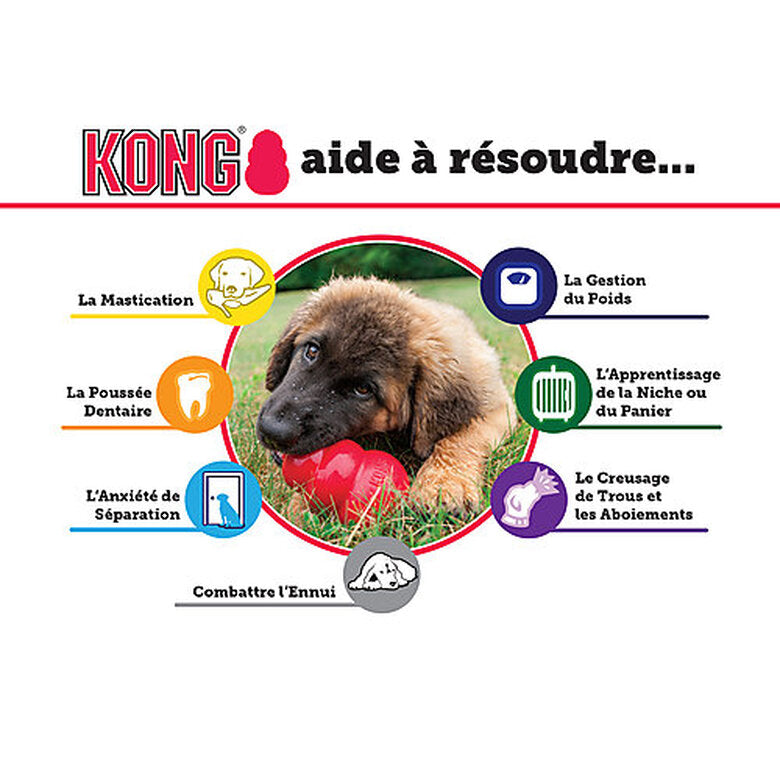 Jouet Kong Puppy chiot