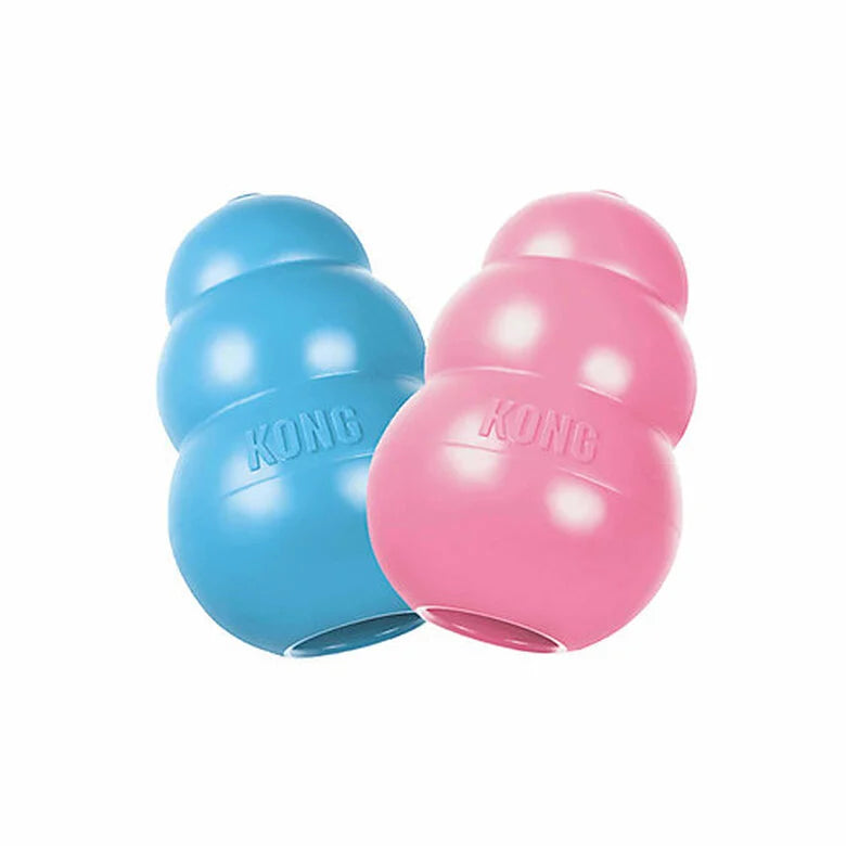 Jouet Kong Puppy chiot