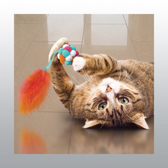 Active bubble Balle avec plumes