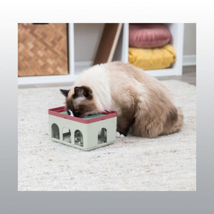 Jeu de stratégie Rod box pour chat