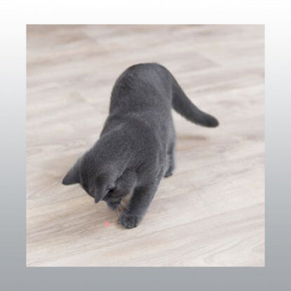 Pointeur laser moving light pour chat