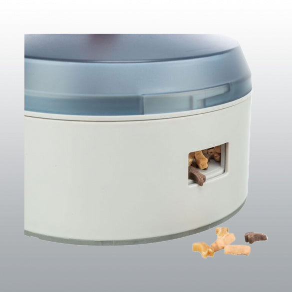 Buzzer pour chien