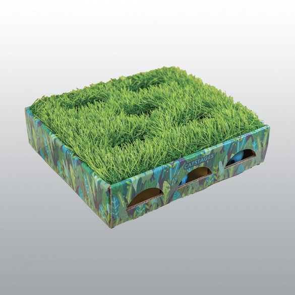 Boîte de chasse Grass Patch pour chat