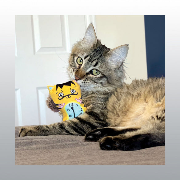 Jouet Artz dali / Van gogh pour chat