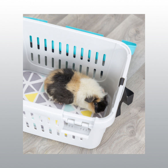 Cage de transport pour cochons d&