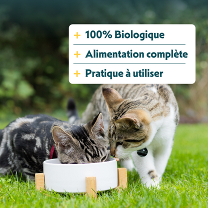 Yarrah filets bio en sauce - pâtée chat
