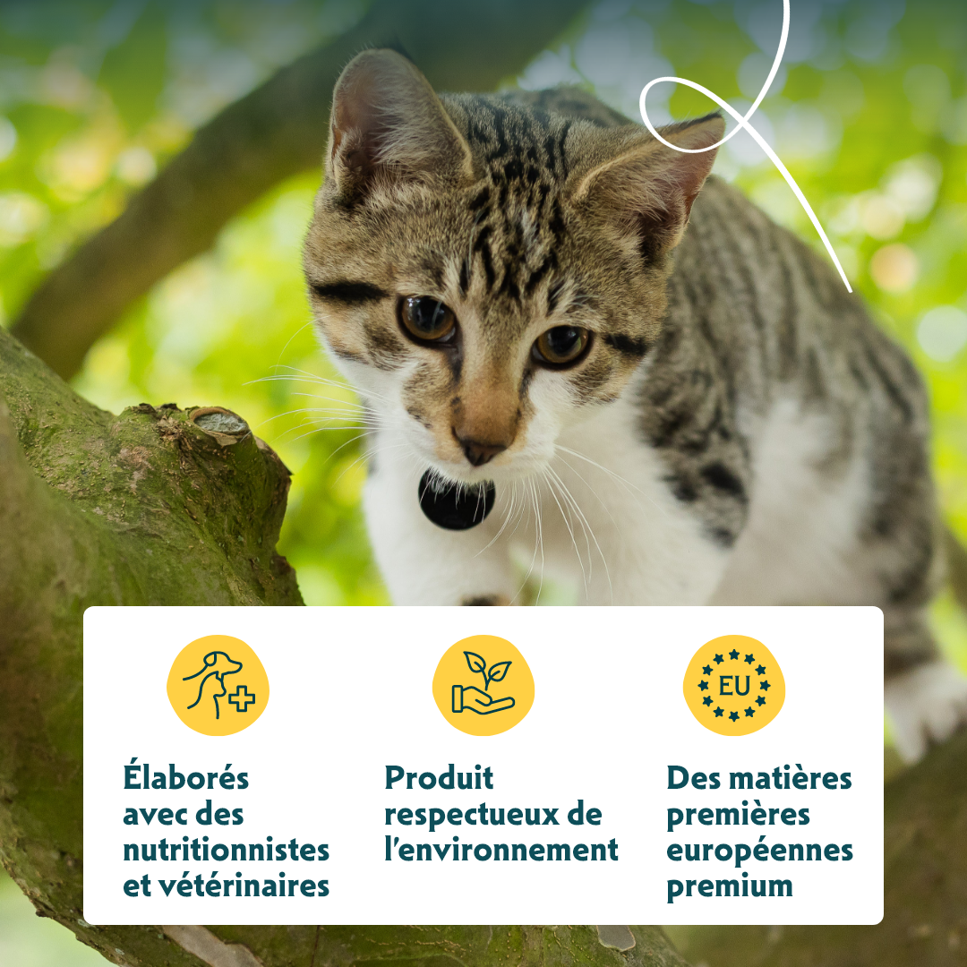 Yarrah filets bio en sauce - pâtée chat