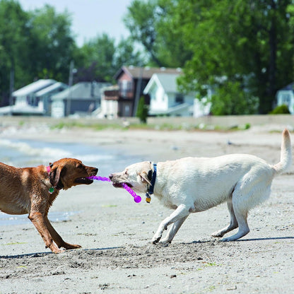 Jouet Kong Safestix chien