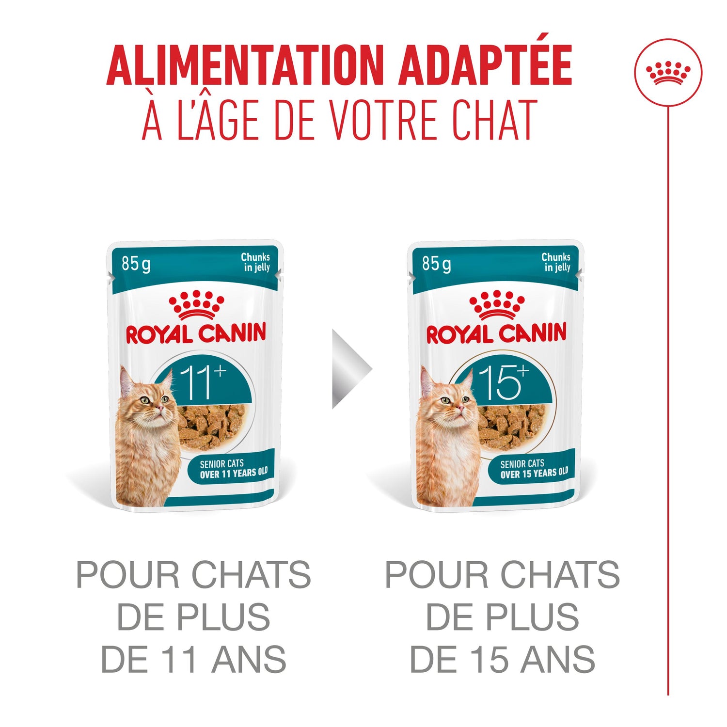 Royal Canin Ageing 11+ - pâtée chat