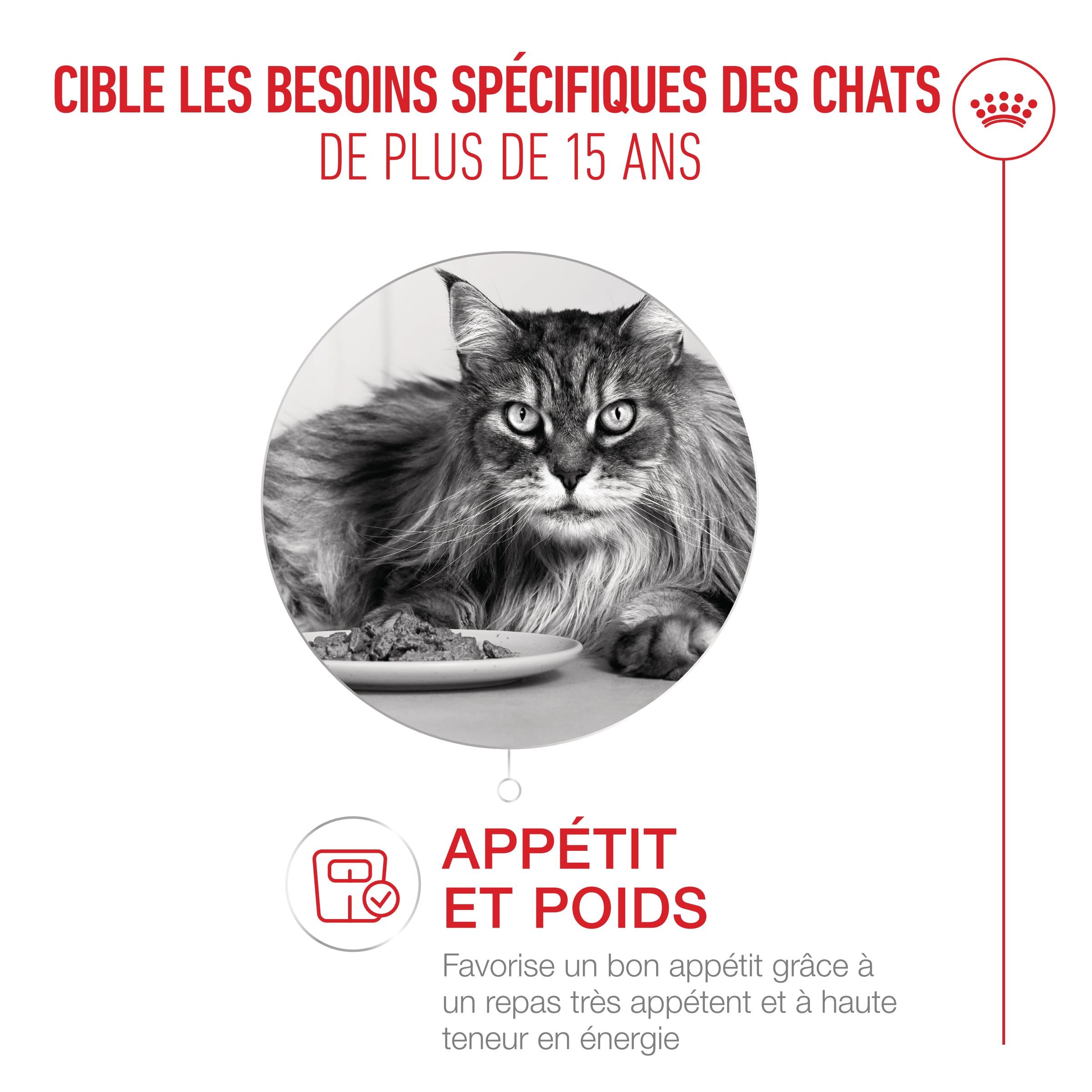Royal Canin Ageing 15+ - pâtée chat