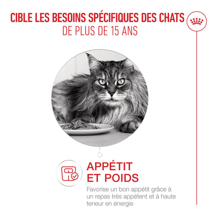 Royal Canin Ageing 15+ - pâtée chat