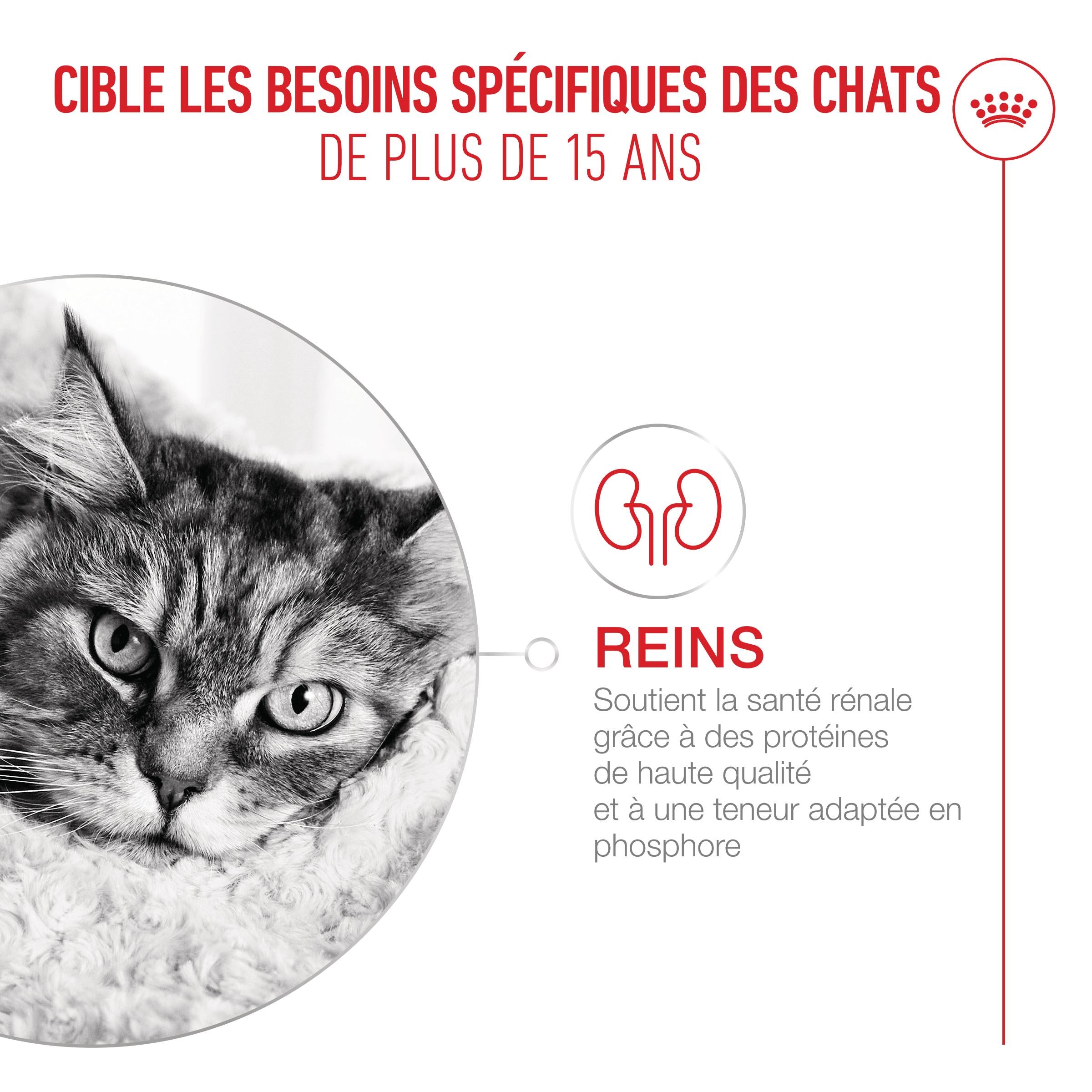 Royal Canin Ageing 15+ - pâtée chat