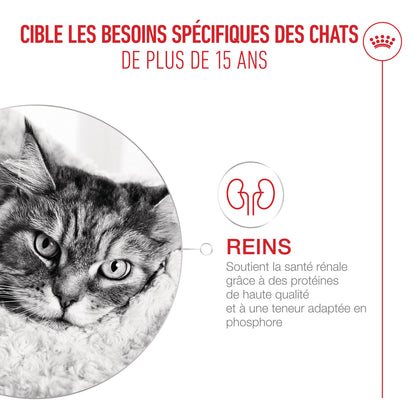 Royal Canin Ageing 15+ - pâtée chat