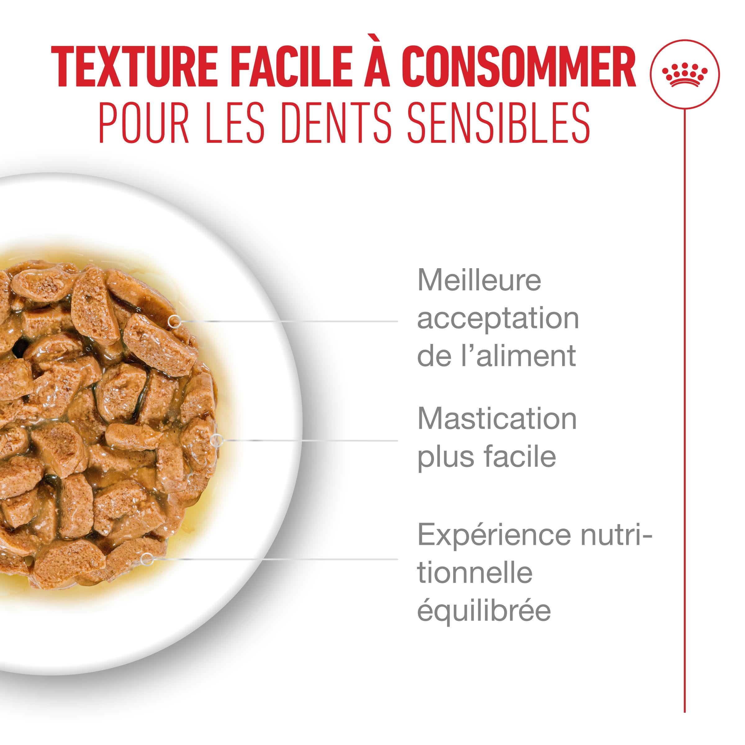 Royal Canin Ageing 15+ - pâtée chat