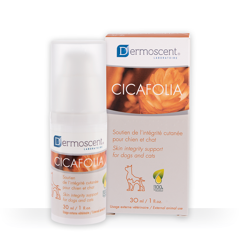 Dermoscent Cicafolia chien, chat