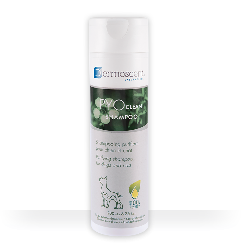 Dermoscent PYOclean Shampoing purifiant chien, chat