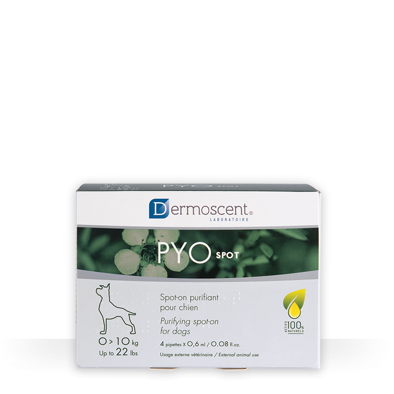 Dermoscent Pyospot chien