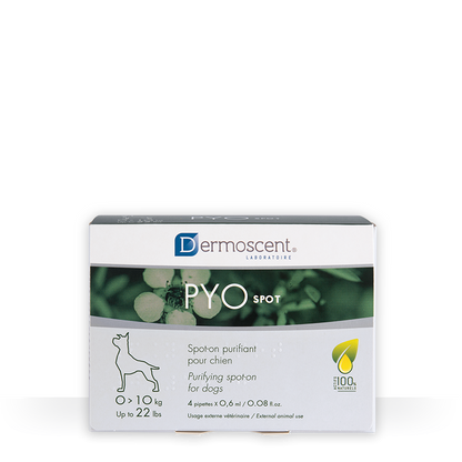 Dermoscent Pyospot chien