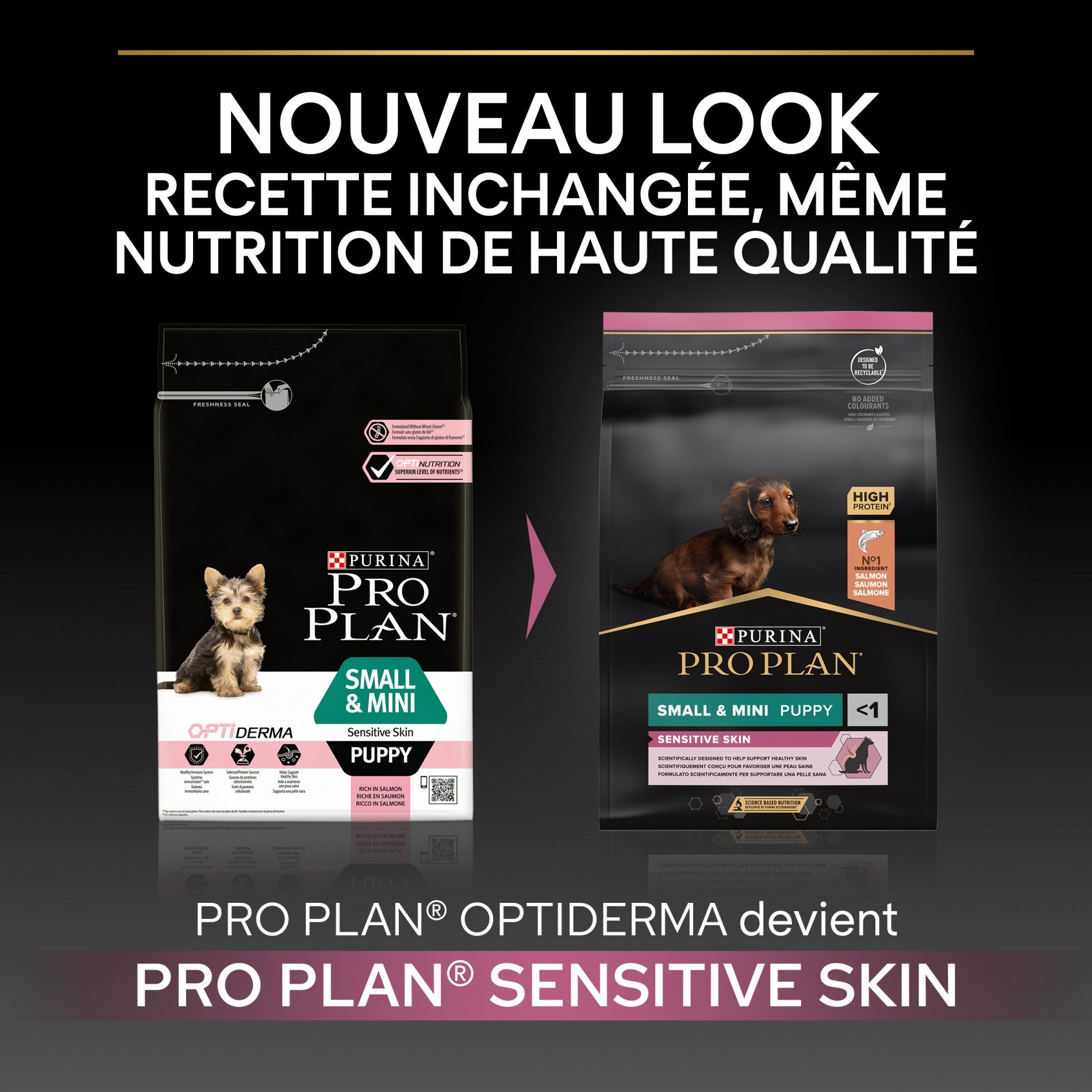 Pro Plan Sensitive Skin Small &amp; Mini Puppy au saumon - croquettes chiot