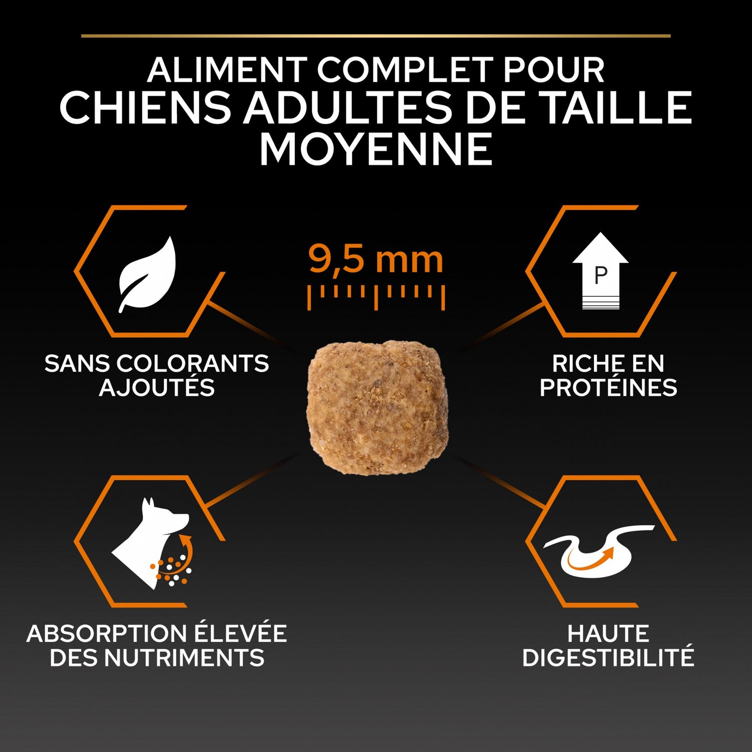 Pro Plan Everyday Nutrition Small &amp; Mini Adult au poulet - croquettes chien