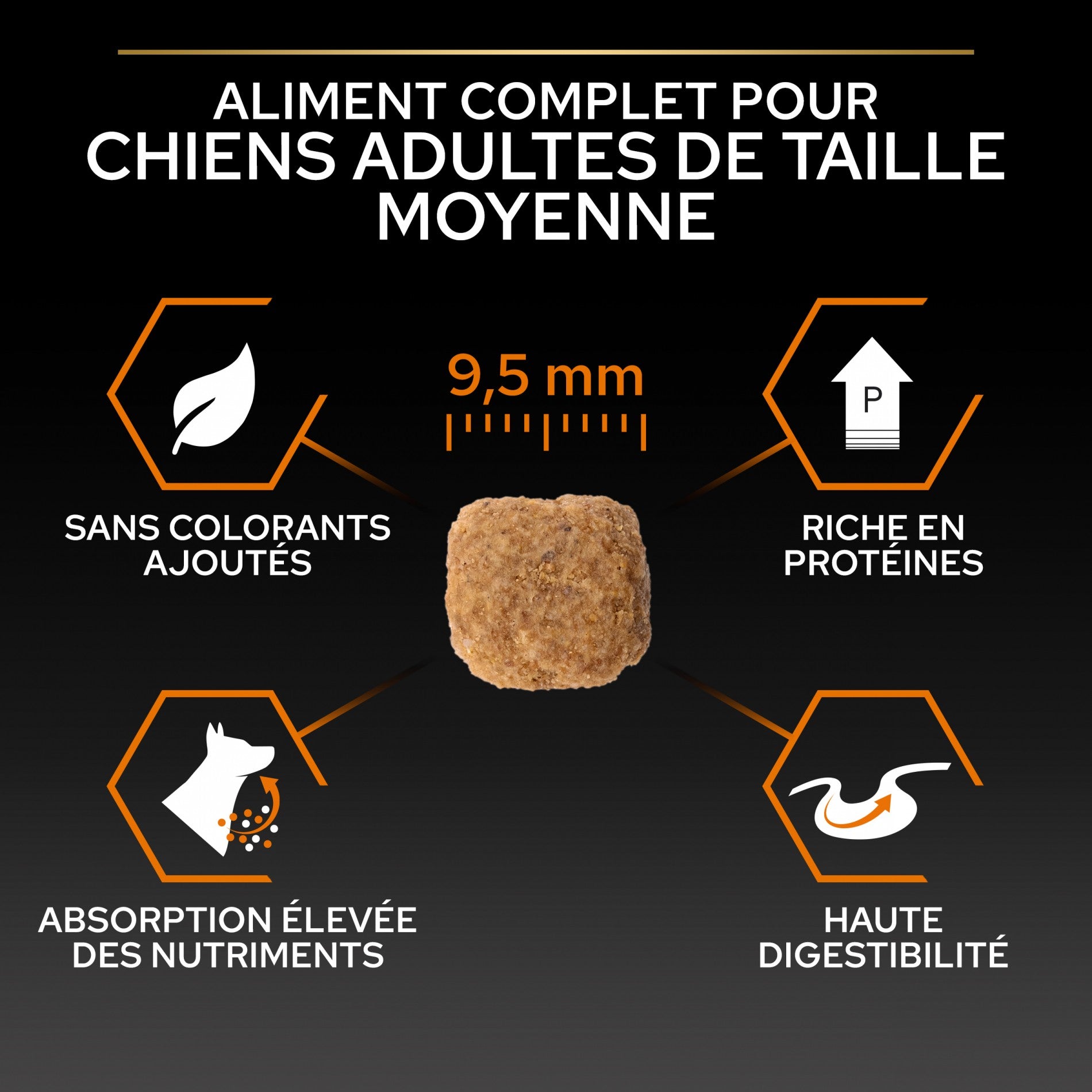 Pro Plan Everyday Nutrition Small &amp; Mini Adult au poulet - croquettes chien