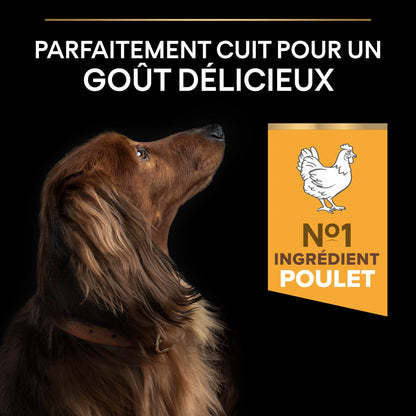 Pro Plan Age Defence Small &amp; Mini Adult au poulet - croquettes chien