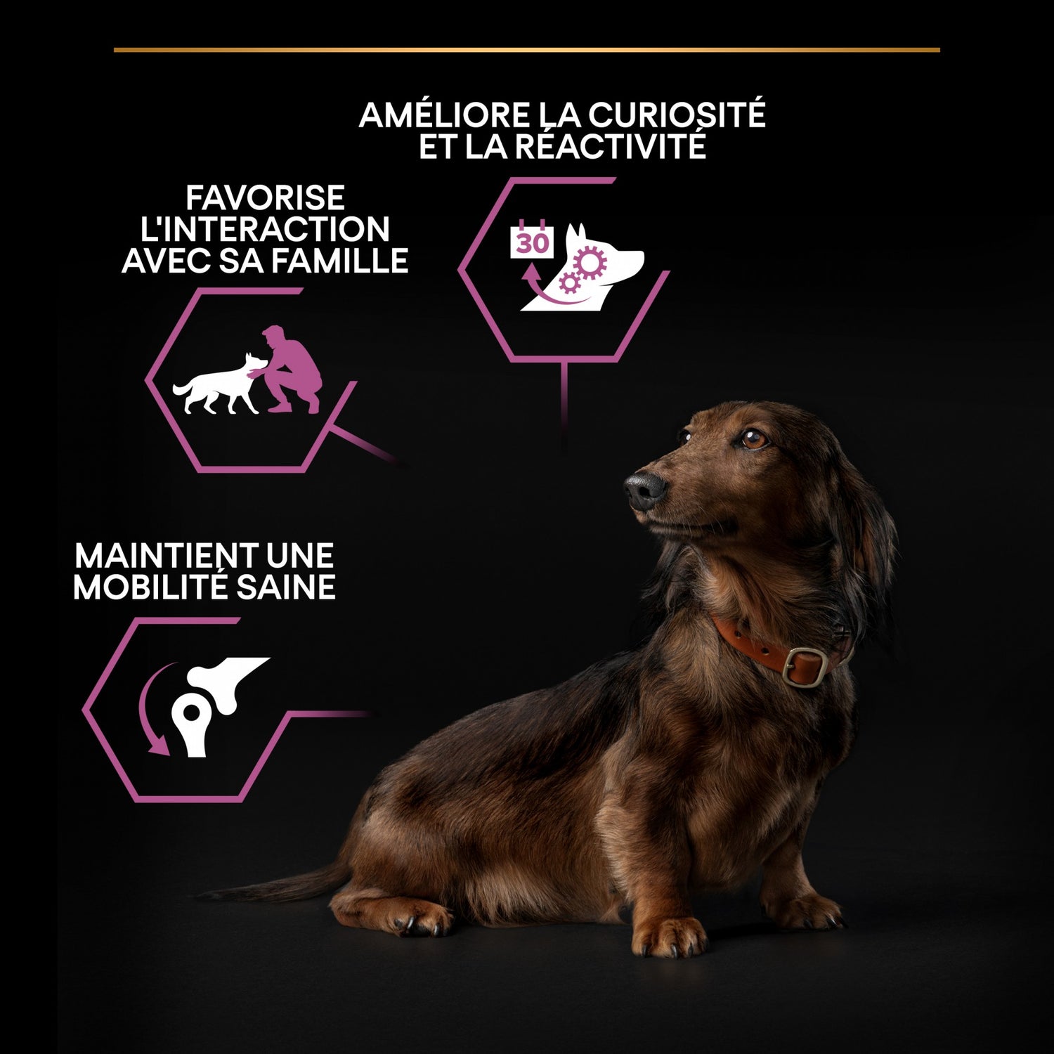 Pro Plan Age Defence Small &amp; Mini Adult au poulet - croquettes chien