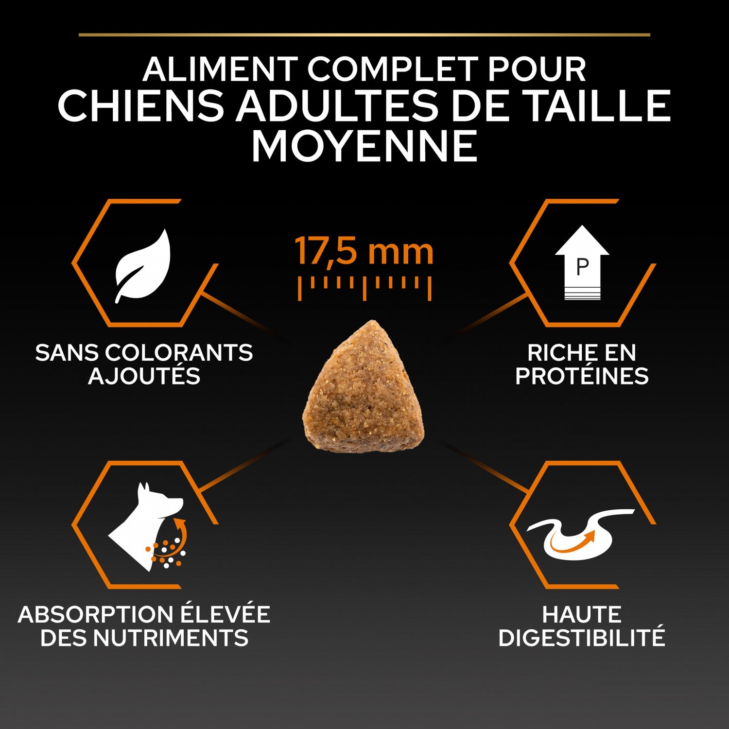 Pro Plan Everyday Nutrition Medium Adult au poulet - croquettes chien