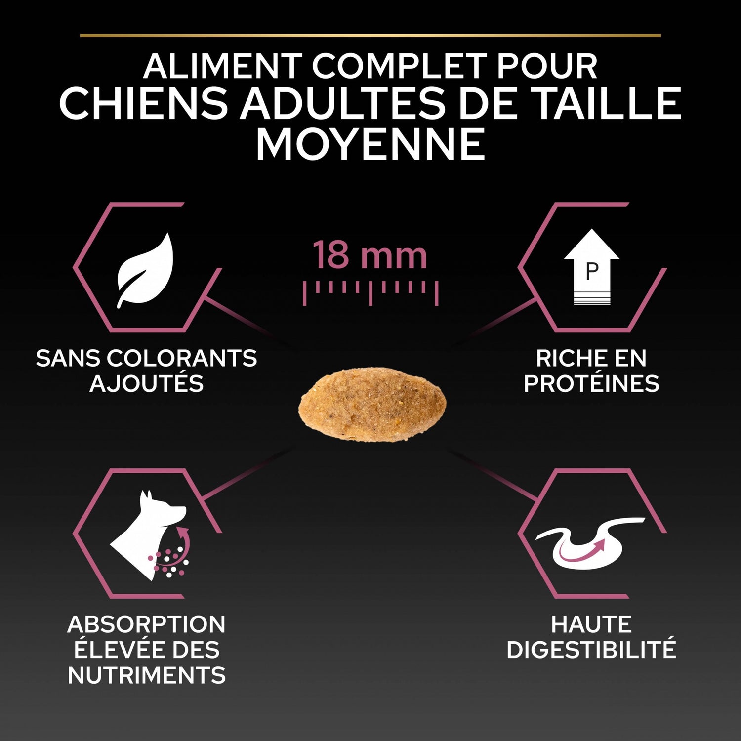 Pro Plan Sensitive Skin Medium Adult au saumon - croquettes chien