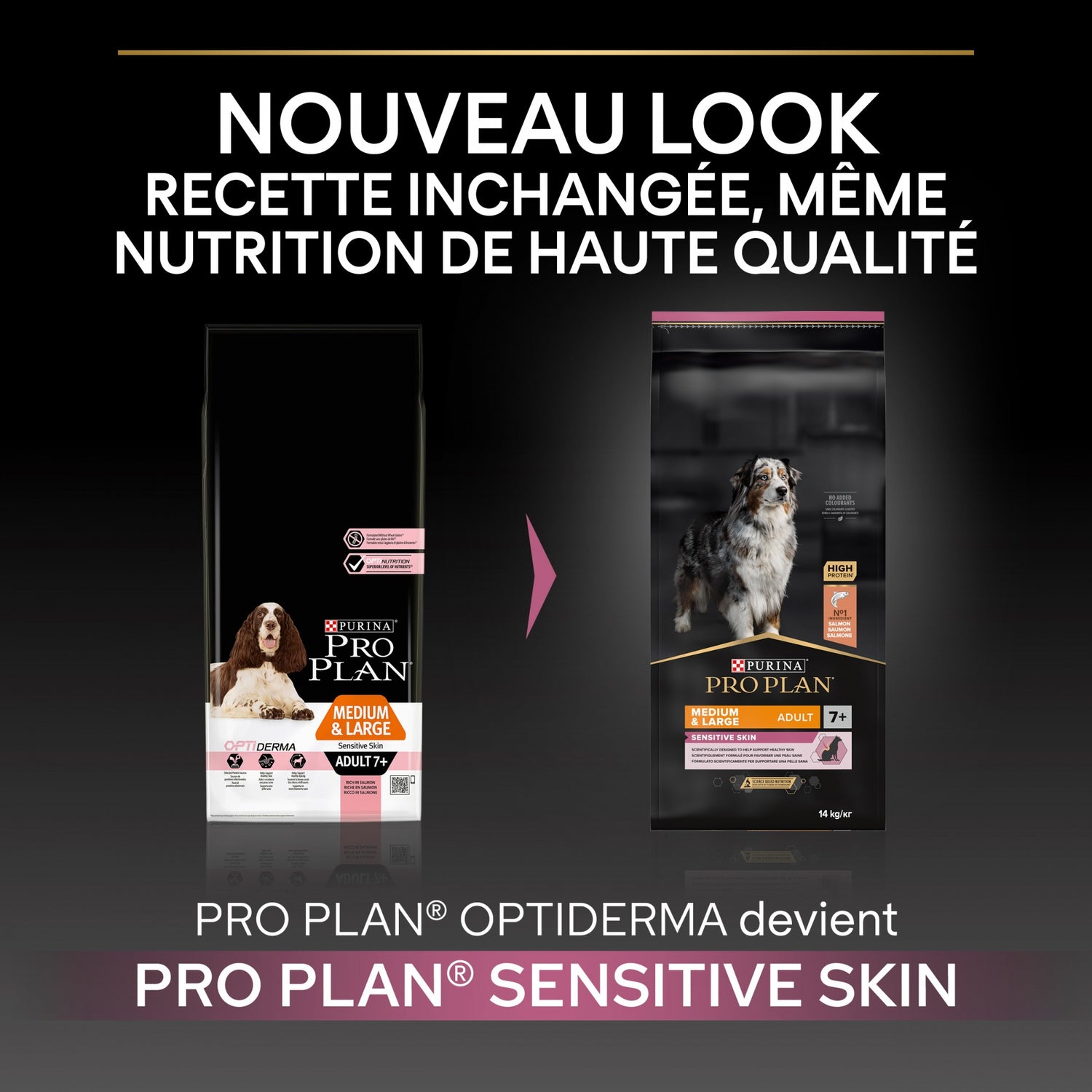 Pro Plan Sensitive Skin Medium &amp; Large Adult au saumon - croquettes chien