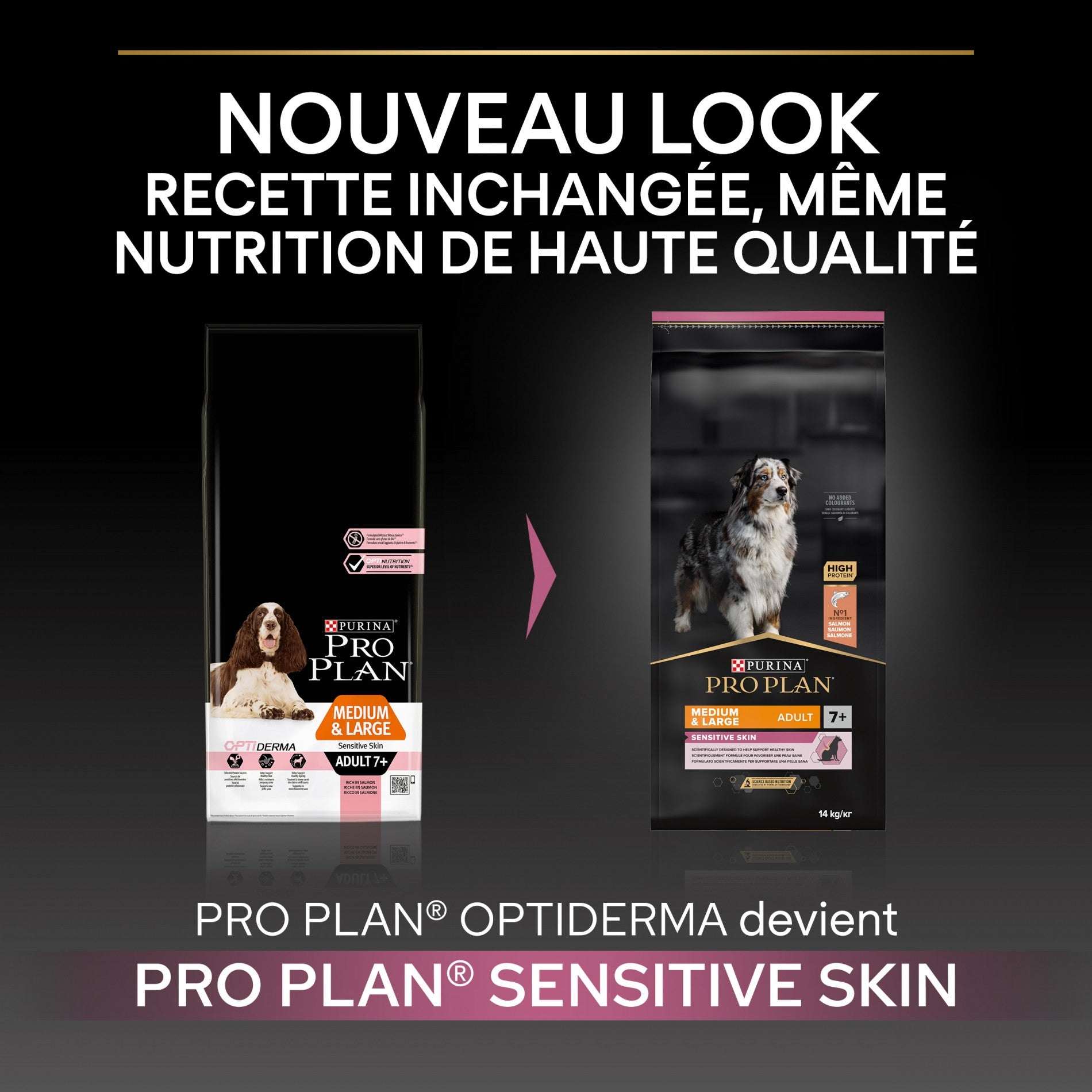 Pro Plan Sensitive Skin Medium &amp; Large Adult au saumon - croquettes chien