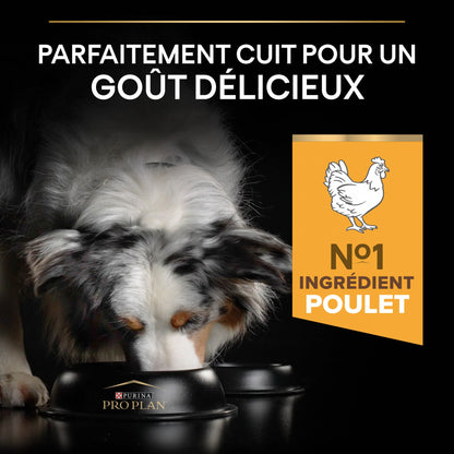 Pro Plan Light/Sterilised All Sizes Adult au poulet - croquettes chien