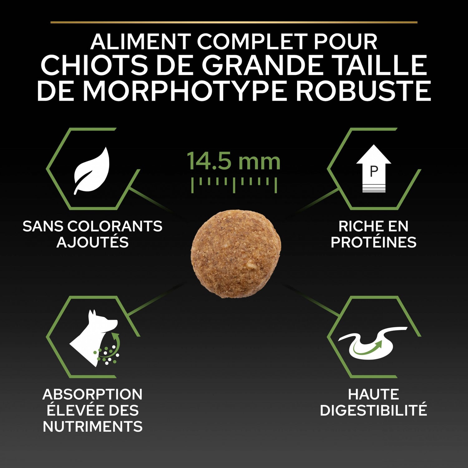 Pro Plan Healthy Start Large Robust Puppy au poulet - croquettes chiot