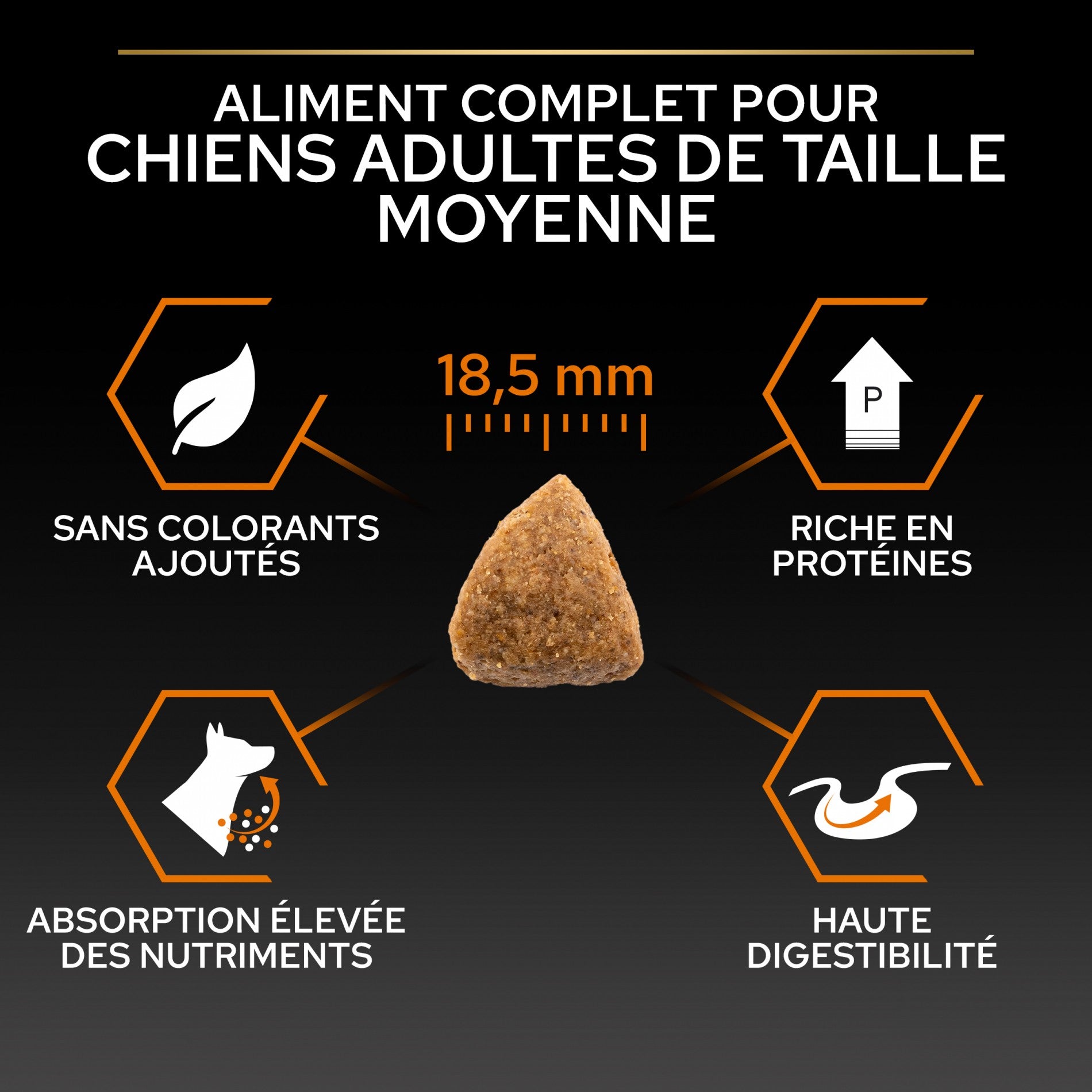 Pro Plan Everyday Nutrition Large Athletic Adult au poulet - croquettes chien