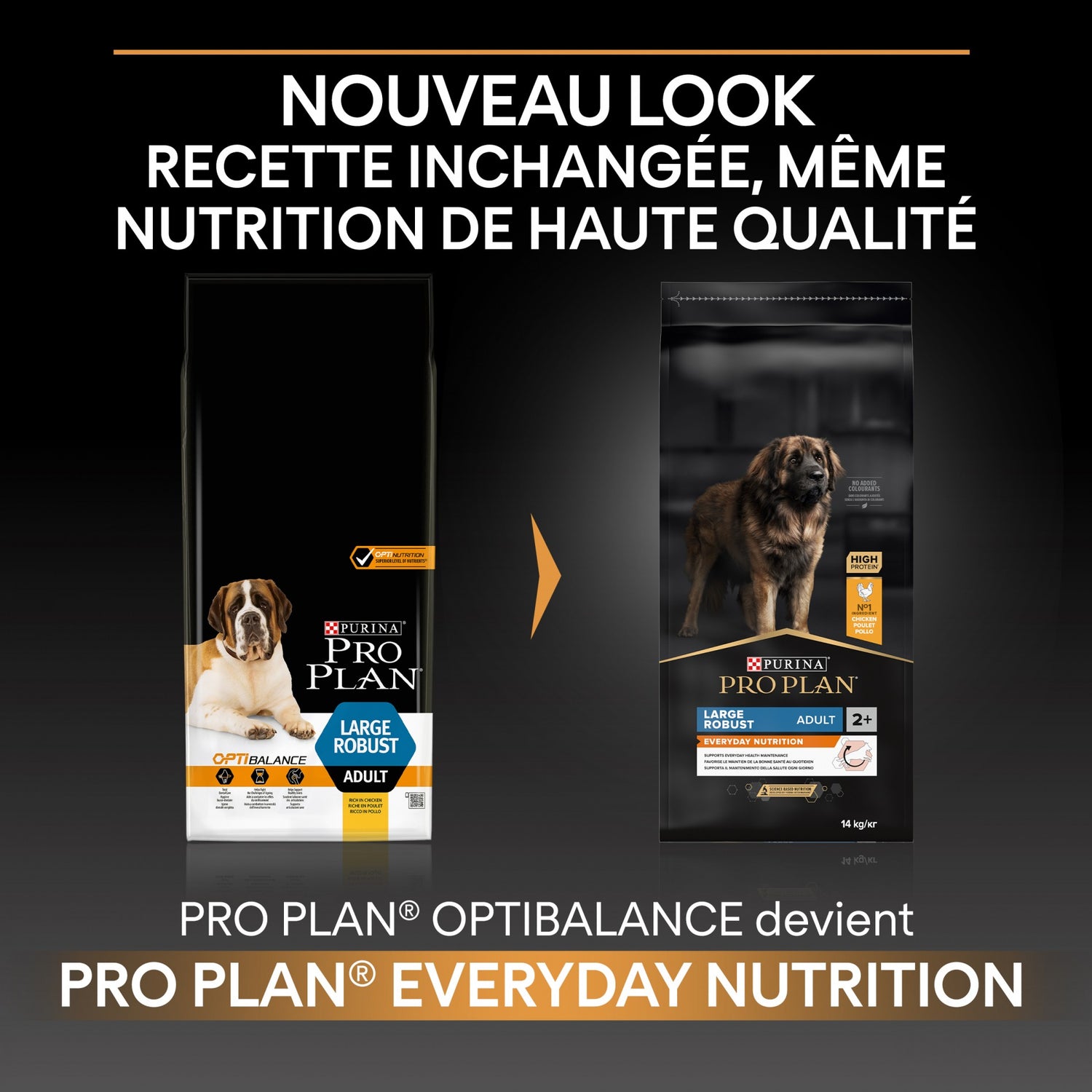Pro Plan Everyday Nutrition Large Robust Adult au poulet - croquettes chien