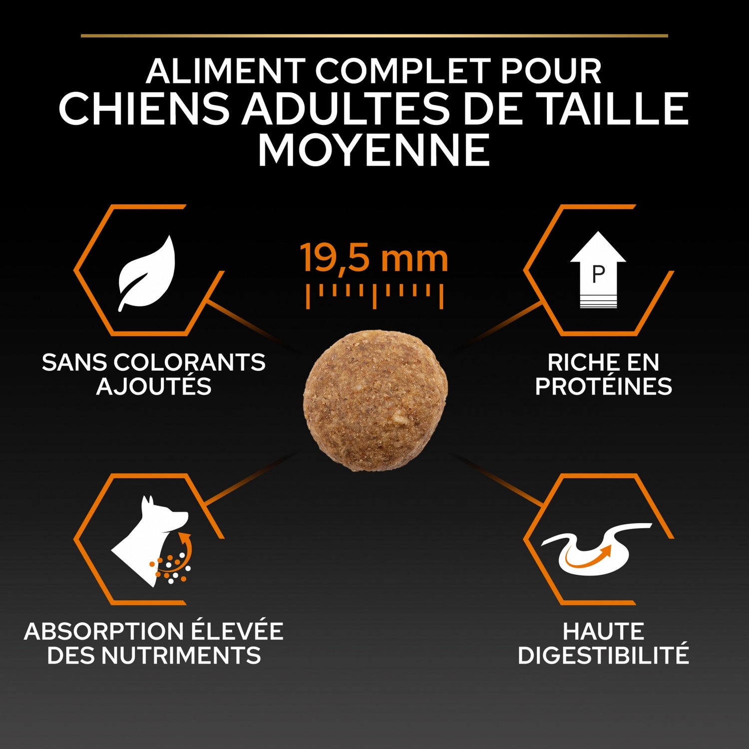 Pro Plan Everyday Nutrition Large Robust Adult au poulet - croquettes chien