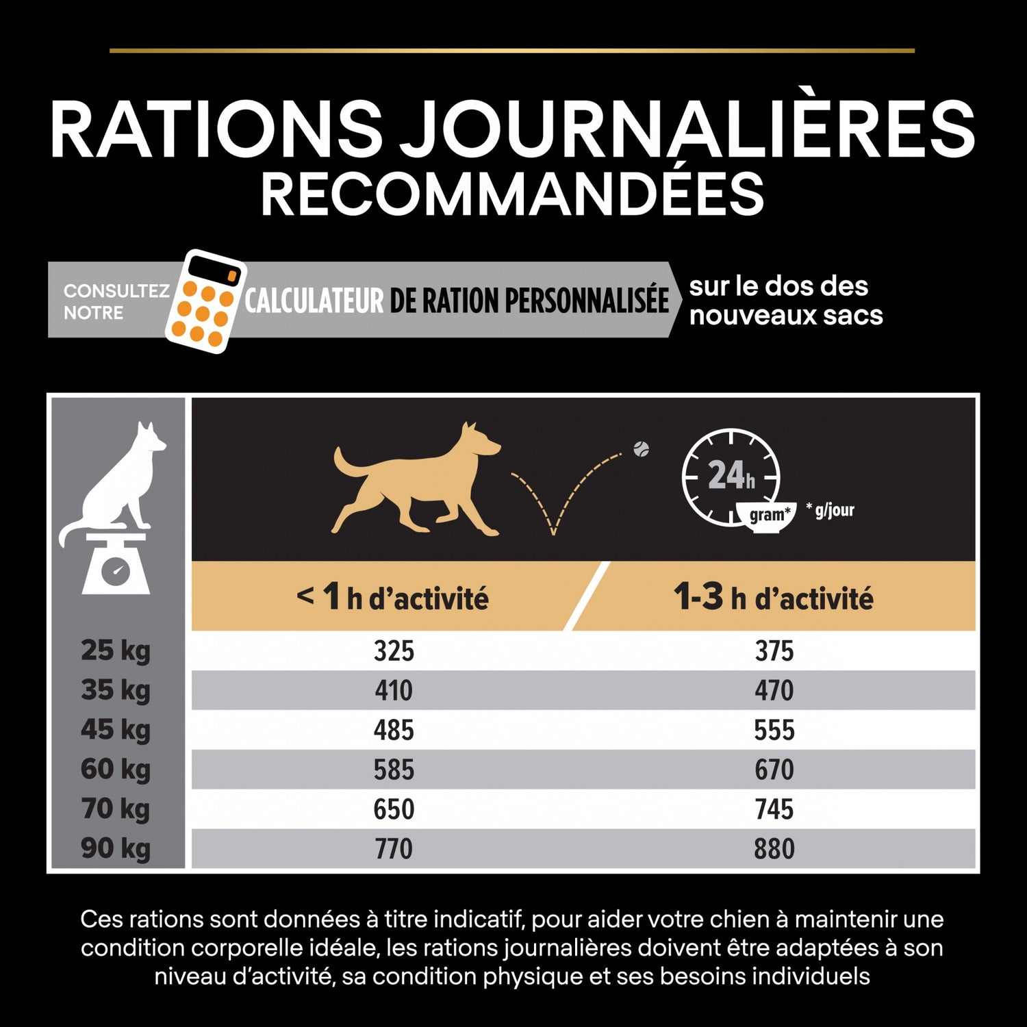 Pro Plan Everyday Nutrition Large Robust Adult au poulet - croquettes chien