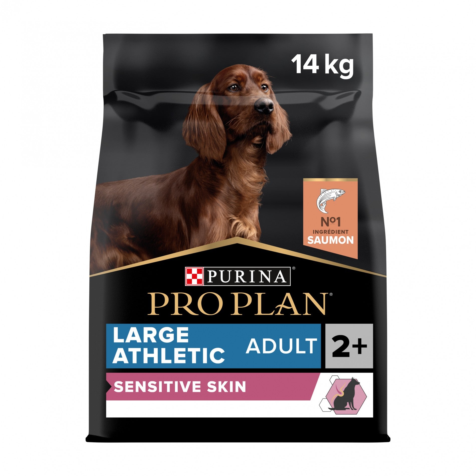Pro Plan Sensitive Skin Large Athletic Adult au saumon - croquettes chien